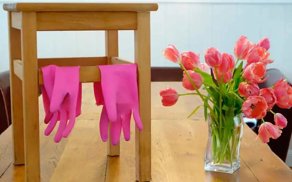 Beitragsbild zu „Es ist Frühling! Zeit für eine Glasreinigung“