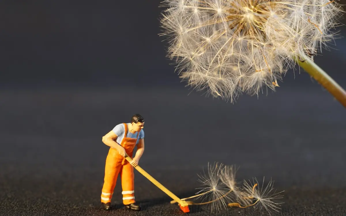 Miniatur-Reinigungskraft zwischen Pusteblumensamen