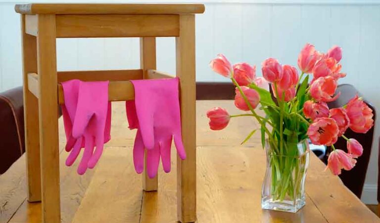 Es ist Frühling! Zeit für eine Glasreinigung